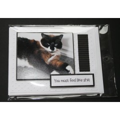 Sarcastic Cat Birthday Greeting Card - Cassia